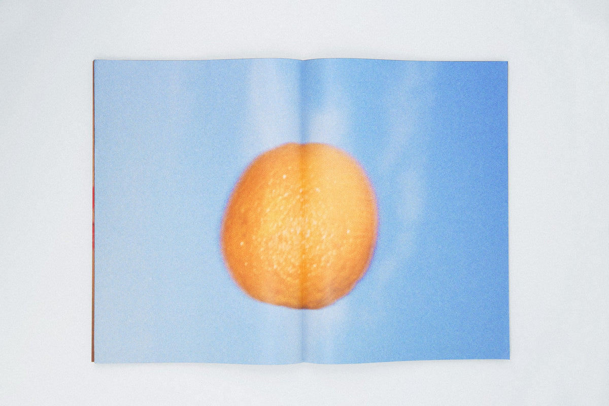 THE O FILE - DAVID LURASCHI