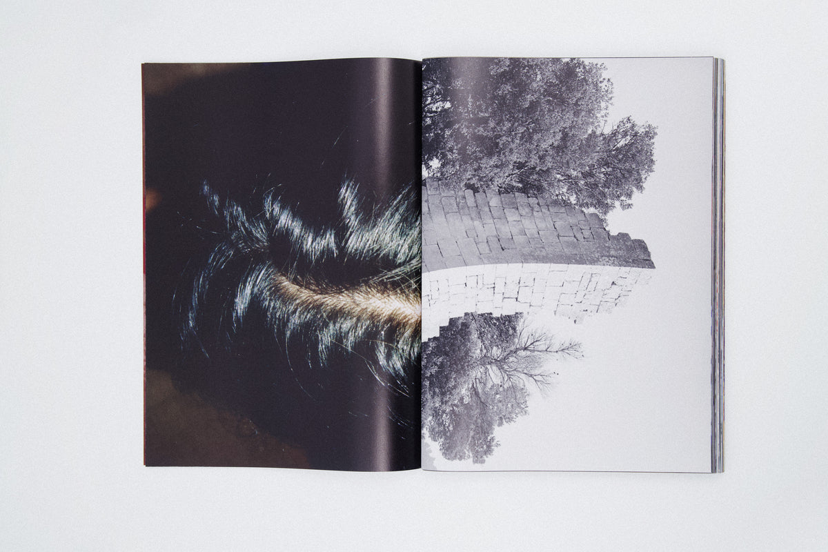 THE O FILE - DAVID LURASCHI