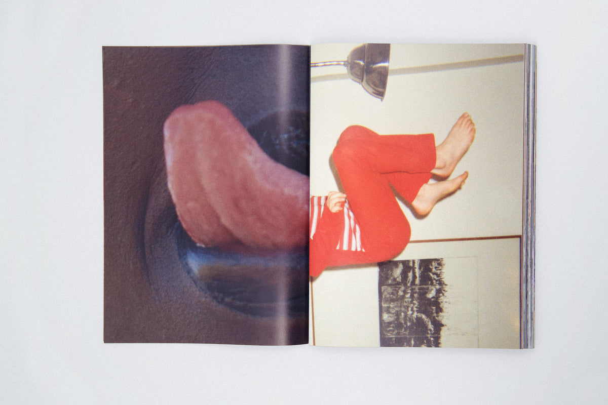 THE O FILE - DAVID LURASCHI